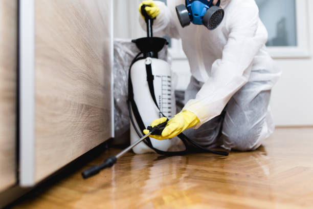 Best Wildlife Control Services  in Downey, CA