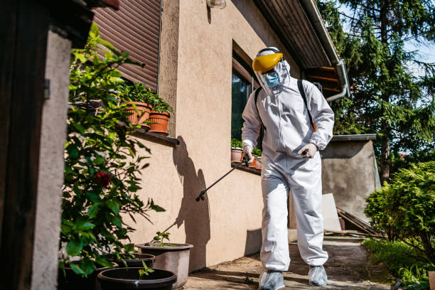 Best Wildlife Control Services  in Downey, CA