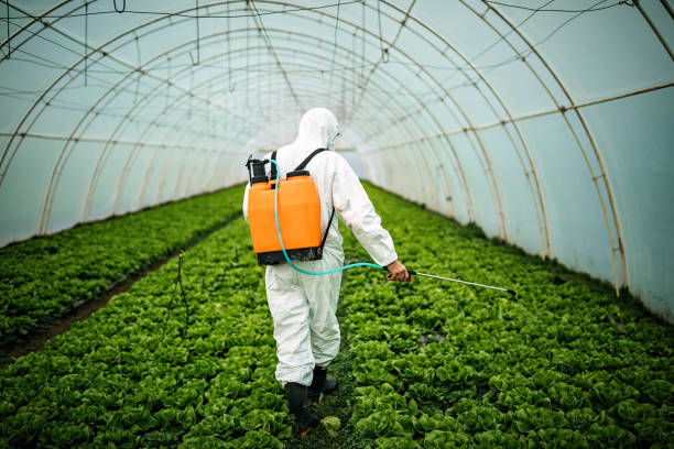 Best Pest Removal Services  in Downey, CA