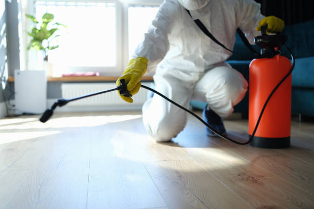 Reliable Downey, CA Pest Control Solutions